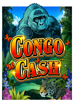 แทง รู วิธีเล่นและเทคนิคที่มือใหม่ควรรู้